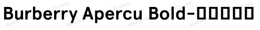 Burberry Apercu Bold字体转换